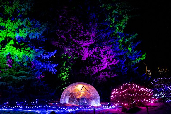 A snowglobe dinner at Calgary Zoo is straight out of a Christmas movie.