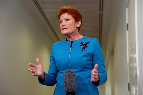 One Nation Leader Senator Pauline Hanson
