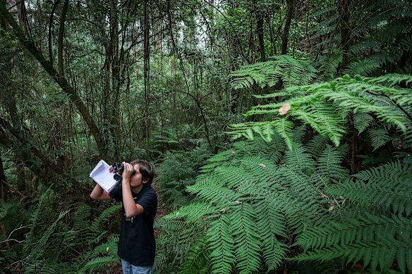 Pearson gets out on a bird walk everyday.