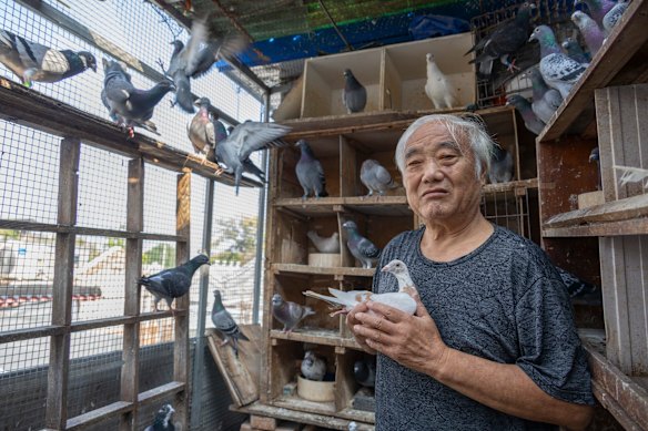 Li Zhaoli, 79, a retired boilermaker and veteran pigeon keeper from Beijing’s Xicheng District.