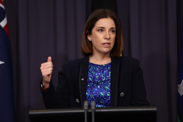 Communications Minister Anika Wells’ next challenge is to introduce a bill that will oblige internet companies to police and prevent exposure to harmful content. 