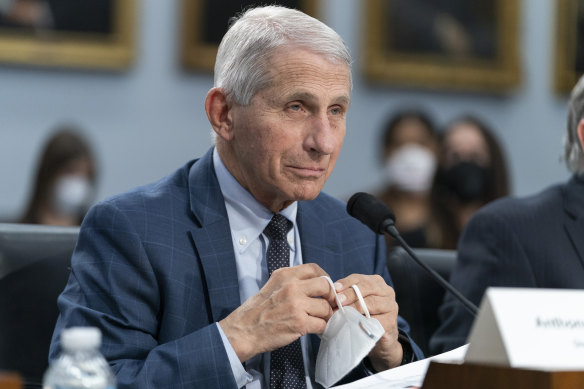 Anthony Fauci, director of the National Institute of Allergy and Infectious Diseases, testifies in May.