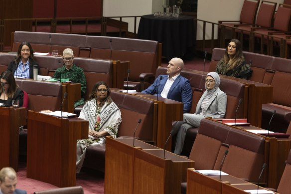 Payman voted with the Greens and ACT independent David Pocock last week.