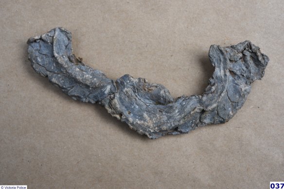 The 12-gauge shotgun cartridge (slug) fragment found at Bucks Camp.