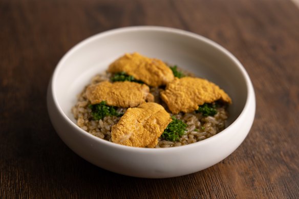 Sea urchin risotto.