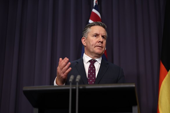 Minister for Health Mark Butler during a press conference in Canberra yesterday. 