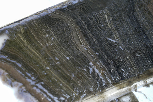 Detail of a core sample from Crawford Lake.