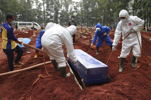 Workers in Indonesia lower a coffin of a COVID-19 victim into a grave.  The nation has recently been hit hard by the pandemic. 