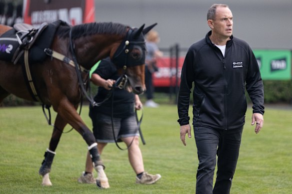 Premier trainer Chris Waller.