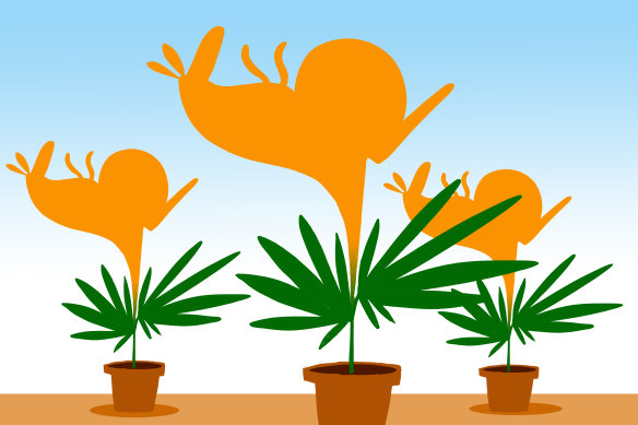 Illustration: Simon Letch