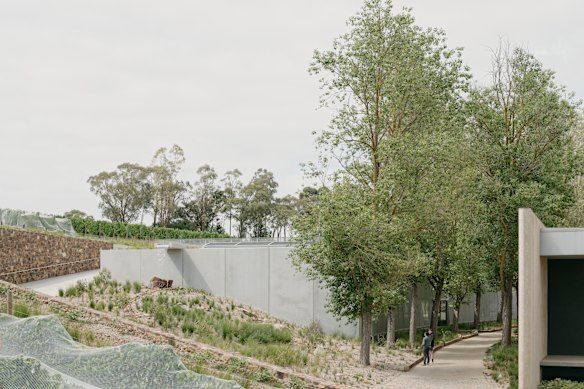 Kerstin Thompson Architects was mindful of retaining the existing poplars that border the new walk.