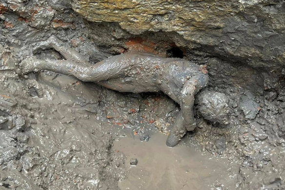 A statue is seen at the site of the discovery of two dozen well-preserved bronze statues from an ancient Tuscan thermal spring in San Casciano dei Bagni.