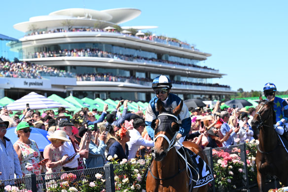 Moreira and Buckaroo head out to the start gate for the Melbourne Cup.