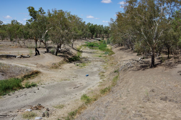 Walgett has been hit hard by water shortages. The Namoi River (pictured) ran dry in 2019.