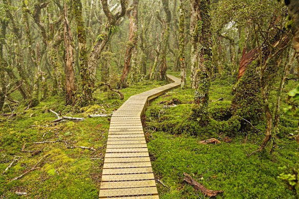 The ground track for Hump Ridge, part of the last new New Zealand.