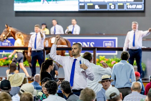 The Magic Millions sale ring on Thursday.