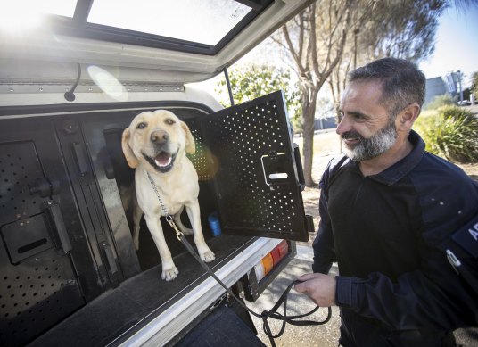 Handler Senior Constable Paul Ioannou with Doris.