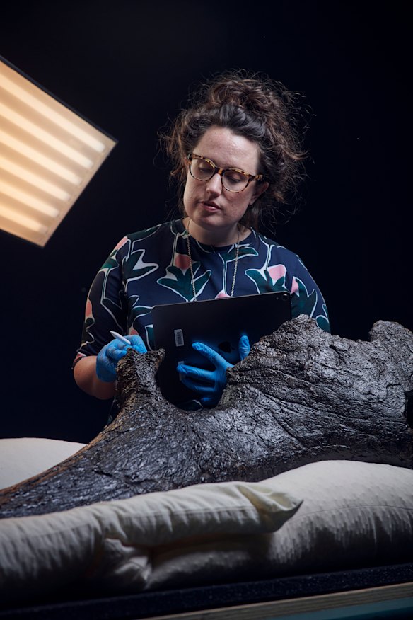 Dani Measday says the fossils are both heavy and delicate. 