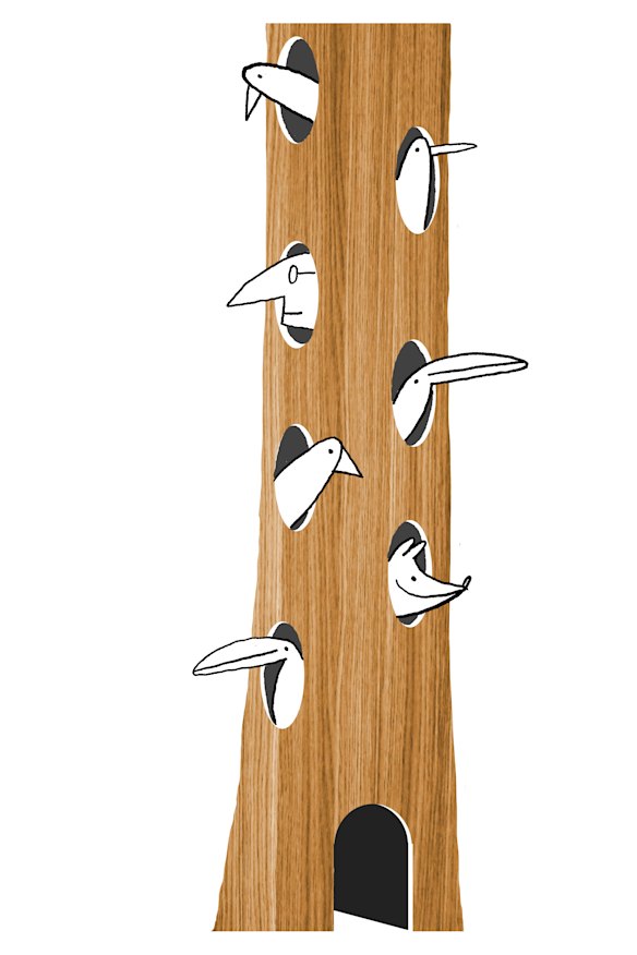 Not only is engineered wood a carbon sink, it is also highly fire-resistant. Illustration: Simon Letch