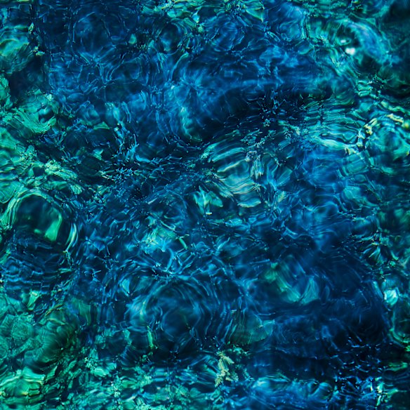 Luminescent Creatures continues Aoba’s grand orchestral soundscapes.
