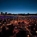 The Field of Light first came to life in 2016.