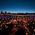The Field of Light first came to life in 2016.