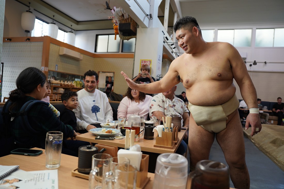 Japan tourism: Sumo wrestlers, aka rikishi, beat retirement with ...