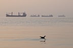 Ships anchored in the Strait of Hormuz off Bandar Abbas, Iran, on the weekend.