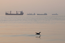Ships anchored in the Strait of Hormuz off Bandar Abbas, Iran, on the weekend.