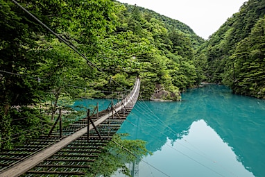 Kawanehoncho