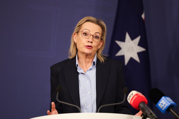 Liberals chasing One Nation more than Labor on climate, immigration