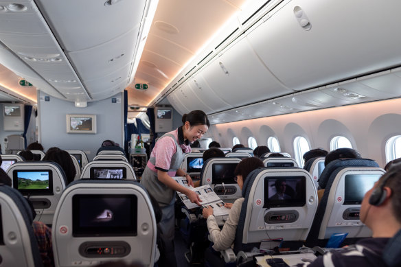 Ana economy baggage new arrivals