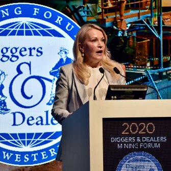 Fortescue Metals Group chief executive Elizabeth Gaines speaking at Kalgoorlie's Diggers and Dealers conference on Tuesday.