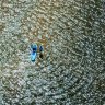 A fisherman tries his luck in Narrabeen Lagoon.