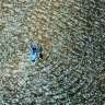 The Sydney Morning Herald’s Photos of the Week, February 8, 2024