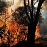Wet weather delays fire season preparation as rain set to continue for months