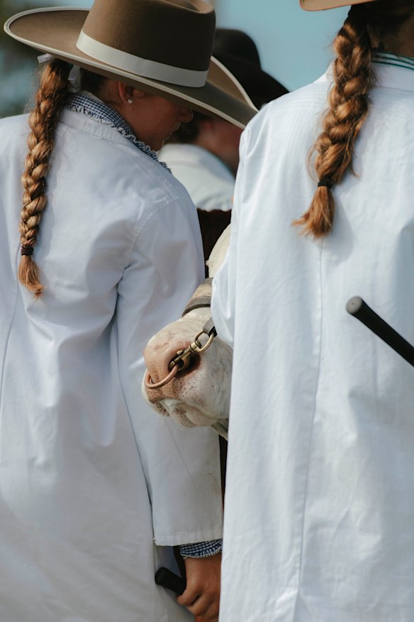BEEF WEEK – At the week-long triennial celebration of all things beef in Rockhampton, Queensland, competitors lead their brushed and gleaming livestock to the central arena for judging. Mike Terry, a photographer and filmmaker, lives in Armidale, NSW.