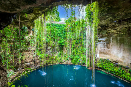 A cenote, or sinkhole on the Yucatan Peninsula.