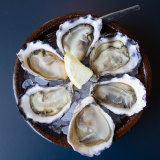 Plump rock oysters perfect for a sunny winter day.
