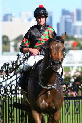 Billy Egan and Defibrillate at Flemington. 