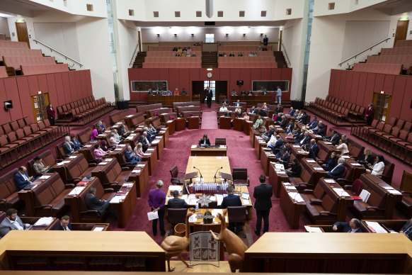 The Senate during a division on a motion to refer the deportation bill to the legal and constitutional affairs legislation committee.