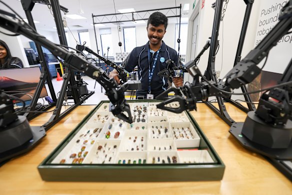 Samith Rajapaksha tests robotic technology that helps digitise the national collection of insects, which speeds up the human labour involved.