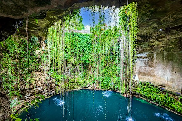 Cenote in Yucatan Peninsula, Mexico.