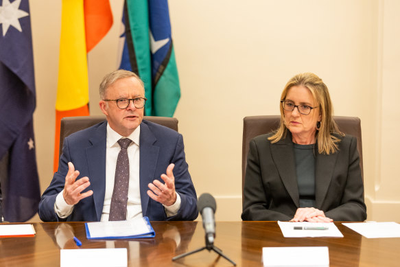 Prime Minister Anthony Albanese with Allan during a ministry meeting in Melbourne on Wednesday.