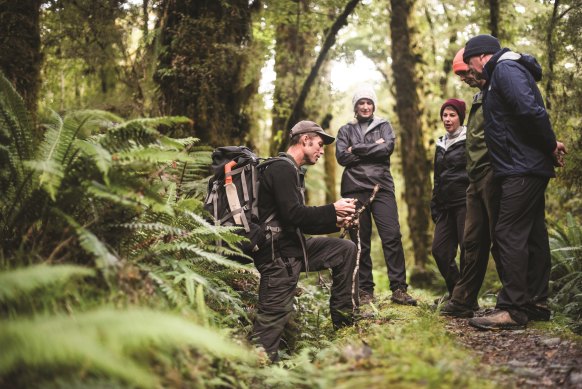 Revealing the secrets of the Hollyford Wilderness.