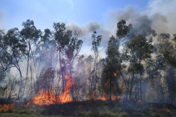 A bushfire near Narrabri burning today.