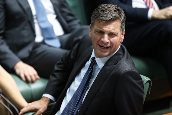Opposition Leader Angus Taylor faces a problem his mentor Tony Abbott never had to confront.