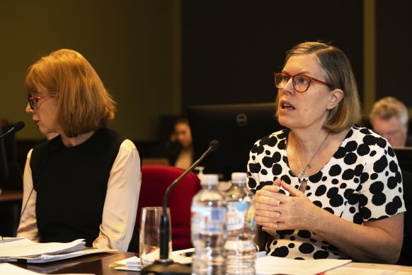 Chief Health Officer Kerry Chant, right, speaking at the inquiry in November. 