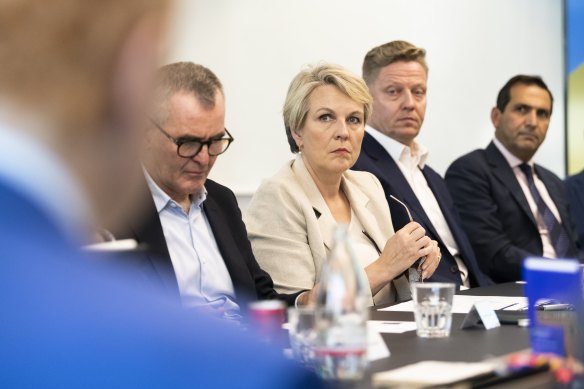 Environment Minister Tanya Plibersek at the conference.