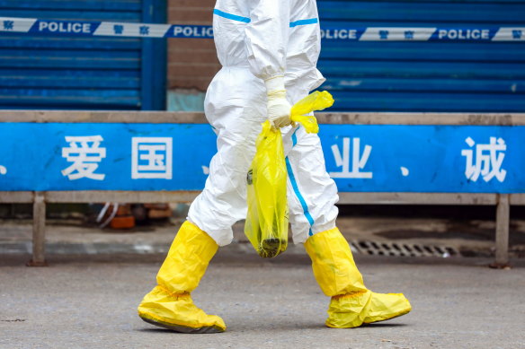 Investigators wish to determine the source of the virus, which has been linked to the Huanan Seafood Market. 